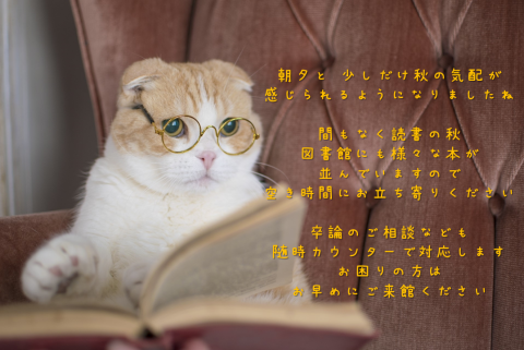 秋の気配